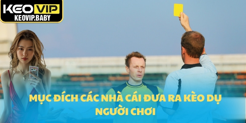 Mục đích các nhà cái đưa ra kèo dụ người chơi