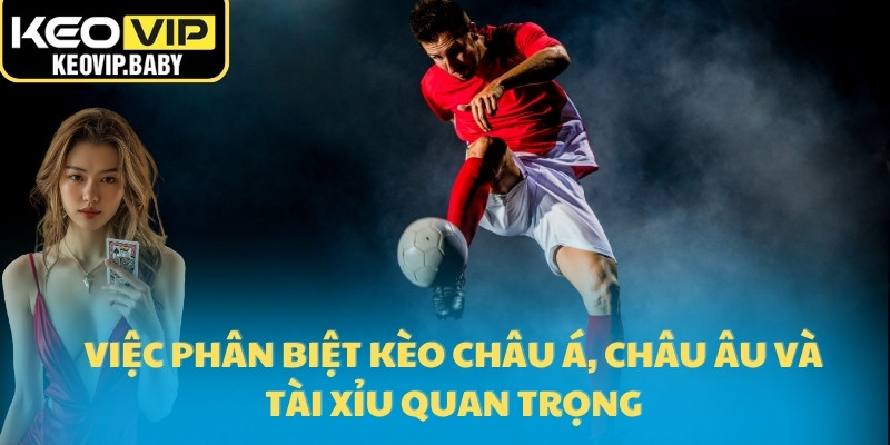 Việc phân biệt kèo châu Á, châu Âu và tài xỉu quan trọng