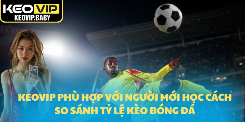 Keovip phù hợp với người mới học cách so sánh tỷ lệ kèo bóng đá