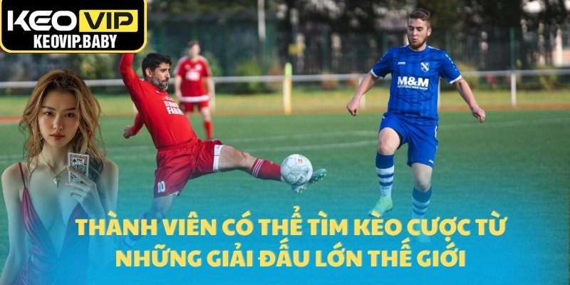 Thành viên có thể tìm kèo cược từ những giải đấu lớn 