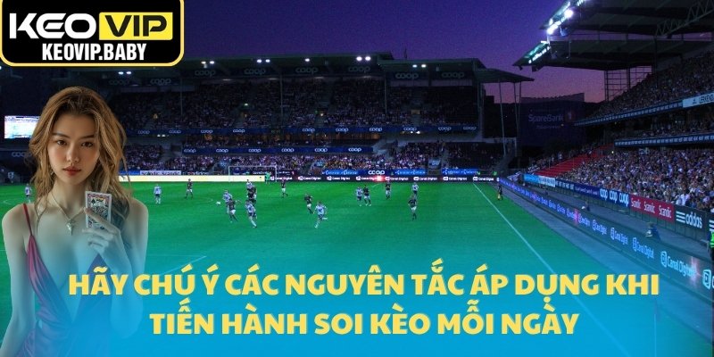 Hãy chú ý các nguyên tắc áp dụng khi tiến hành soi kèo mỗi ngày