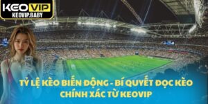 Tỷ Lệ Kèo Biến Động