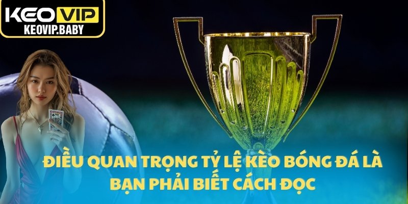 Tỷ Lệ Kèo Bóng Đá – Chìa Khóa Thành Công Mọi Cược Thủ 24 Điều quan trọng tỷ lệ kèo bóng đá là bạn phải biết cách đọc