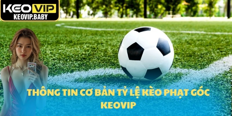 Thông tin cơ bản tỷ lệ kèo phạt góc Keovip